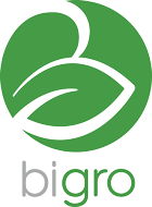 bigro logo