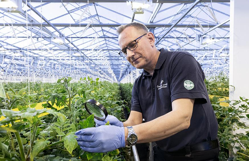 Jan granskar plantorna